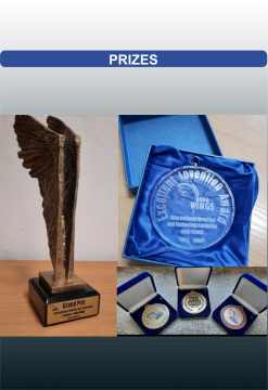 INNO WINGS 2021